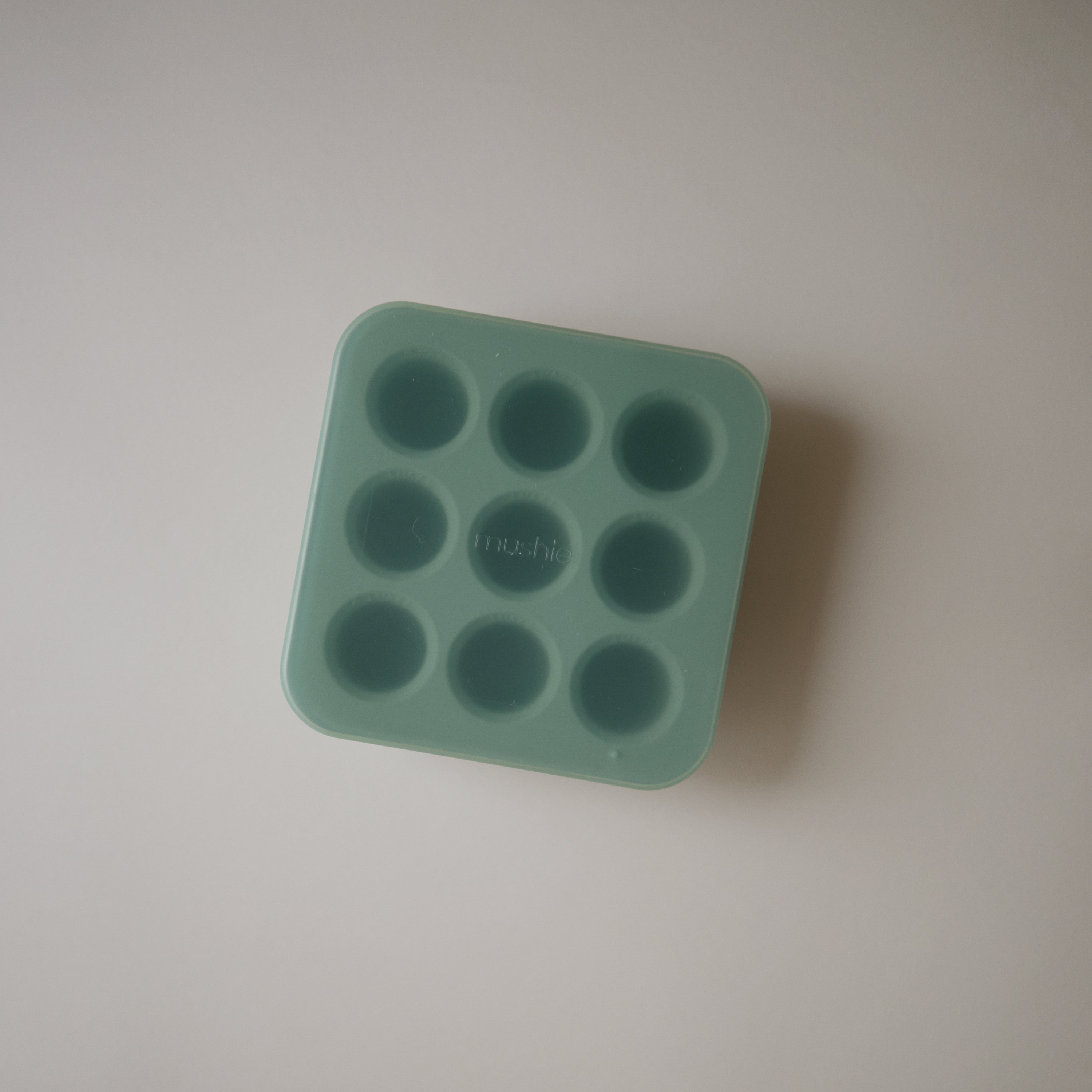 Fresh Food Feeder Freezer Tray {Drop Ship}