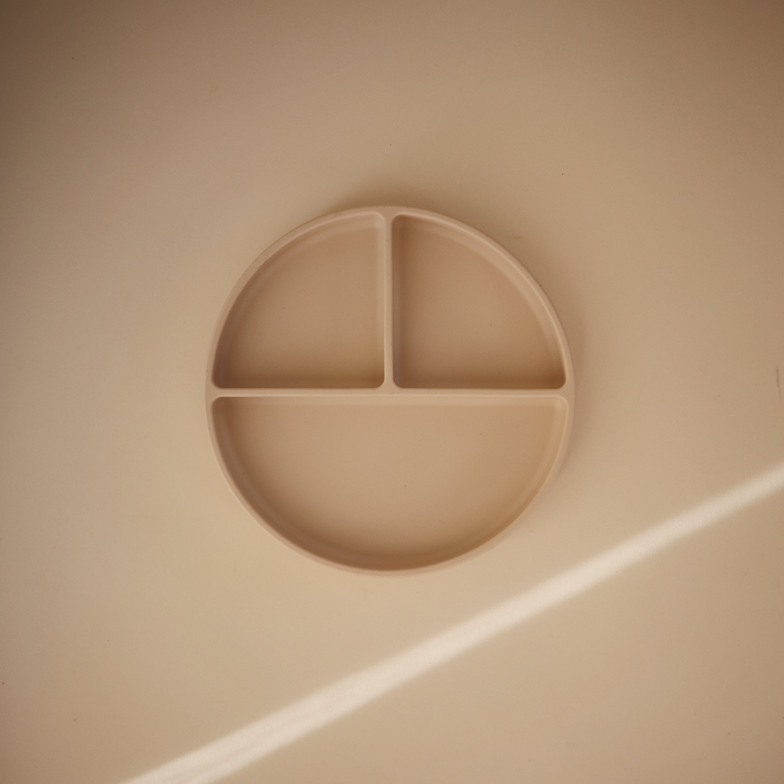 Silicone Suction Plate {Drop Ship}