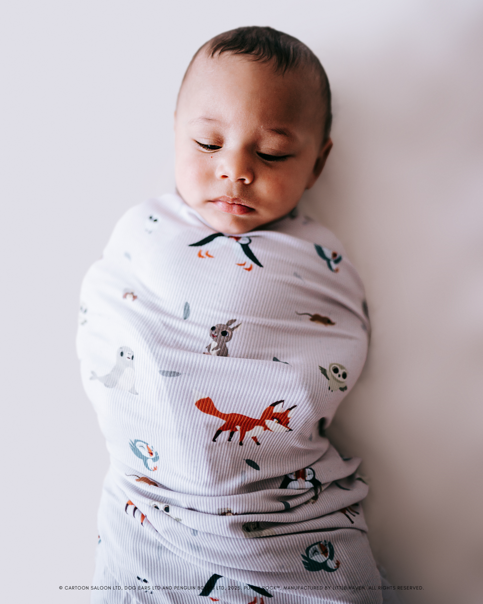 Puffin Rock™ Our Little Island (Snuggle Swaddle)