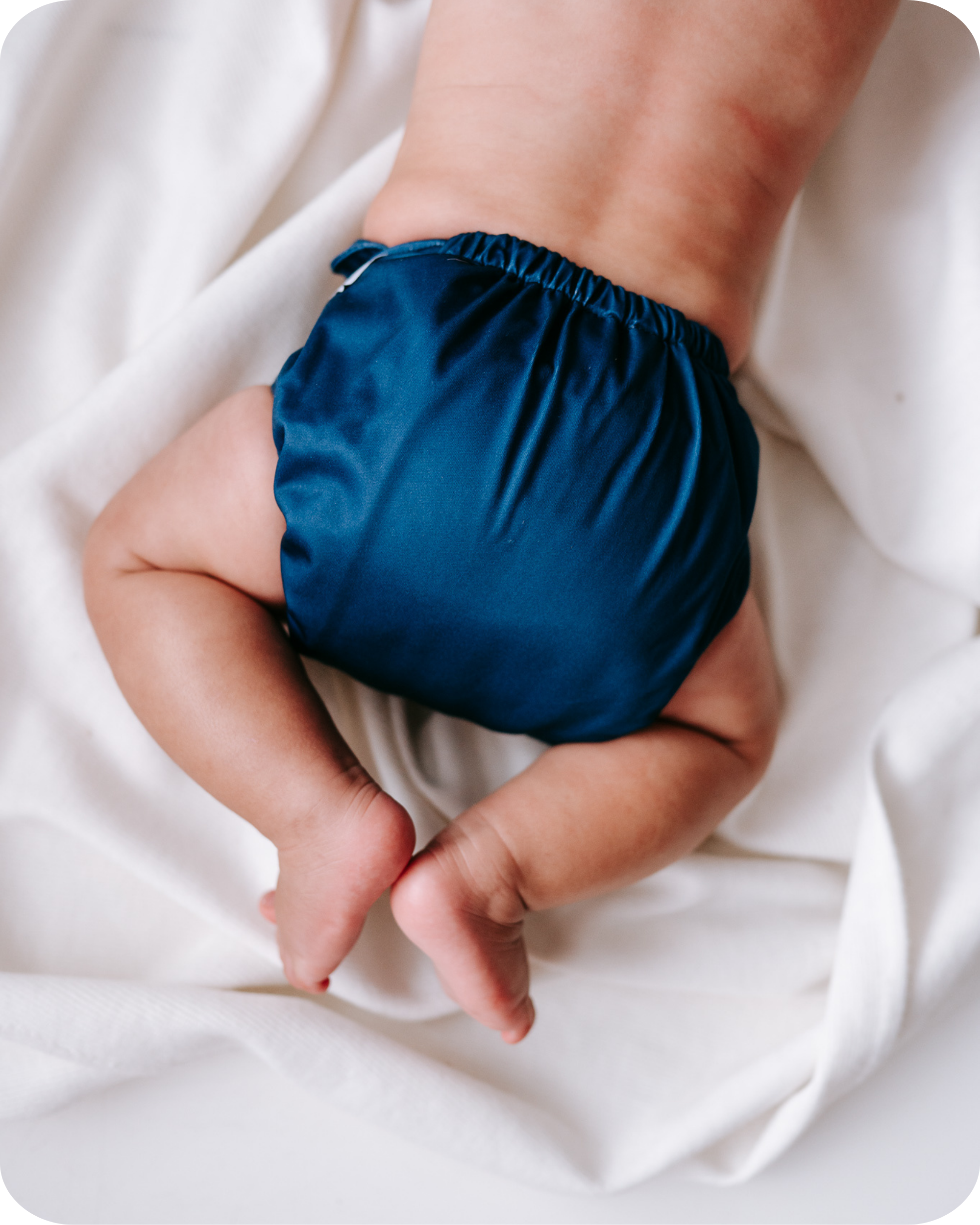 Sargasso - (POCKET DIAPER)