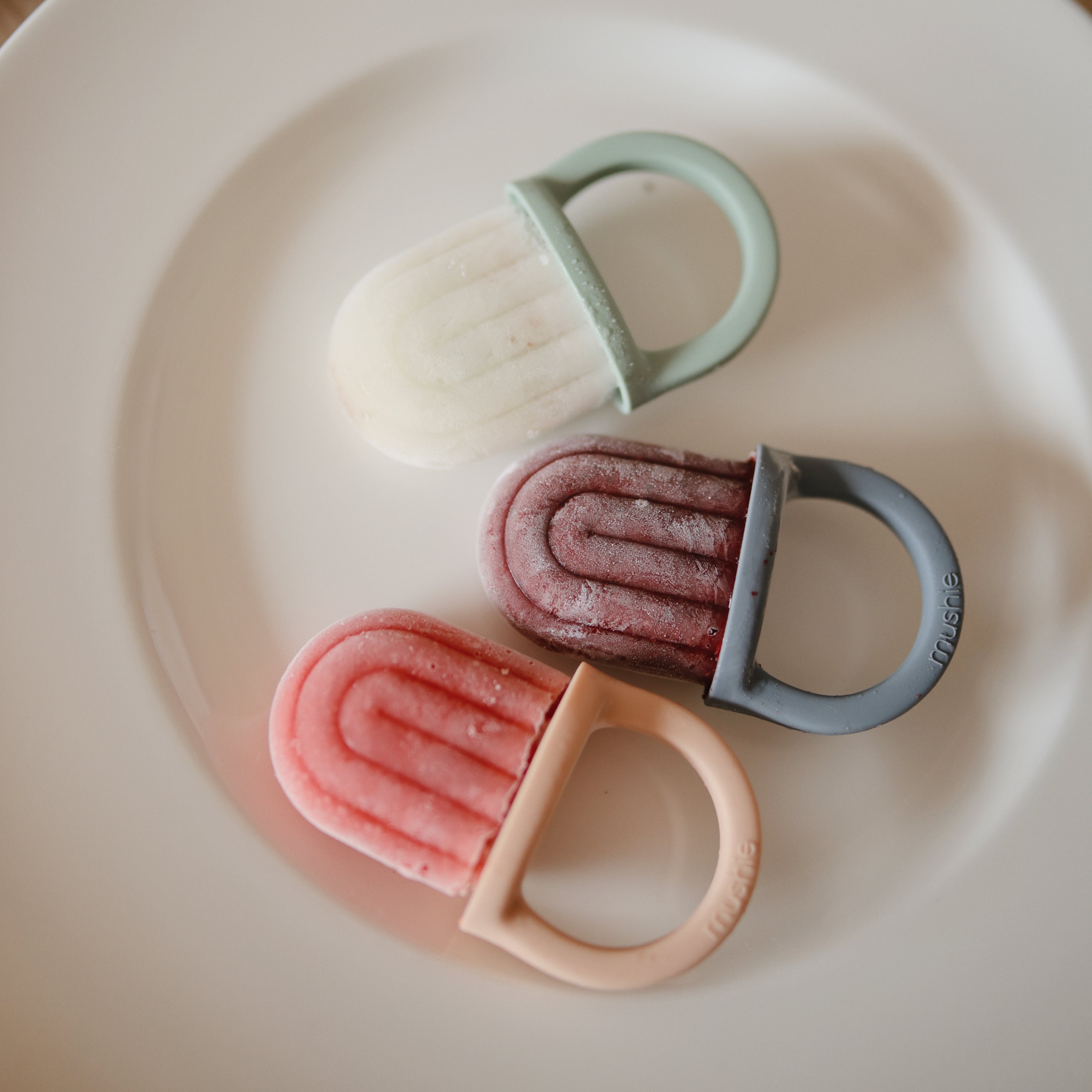 Toddler Ice Pop Tray {Drop Ship}