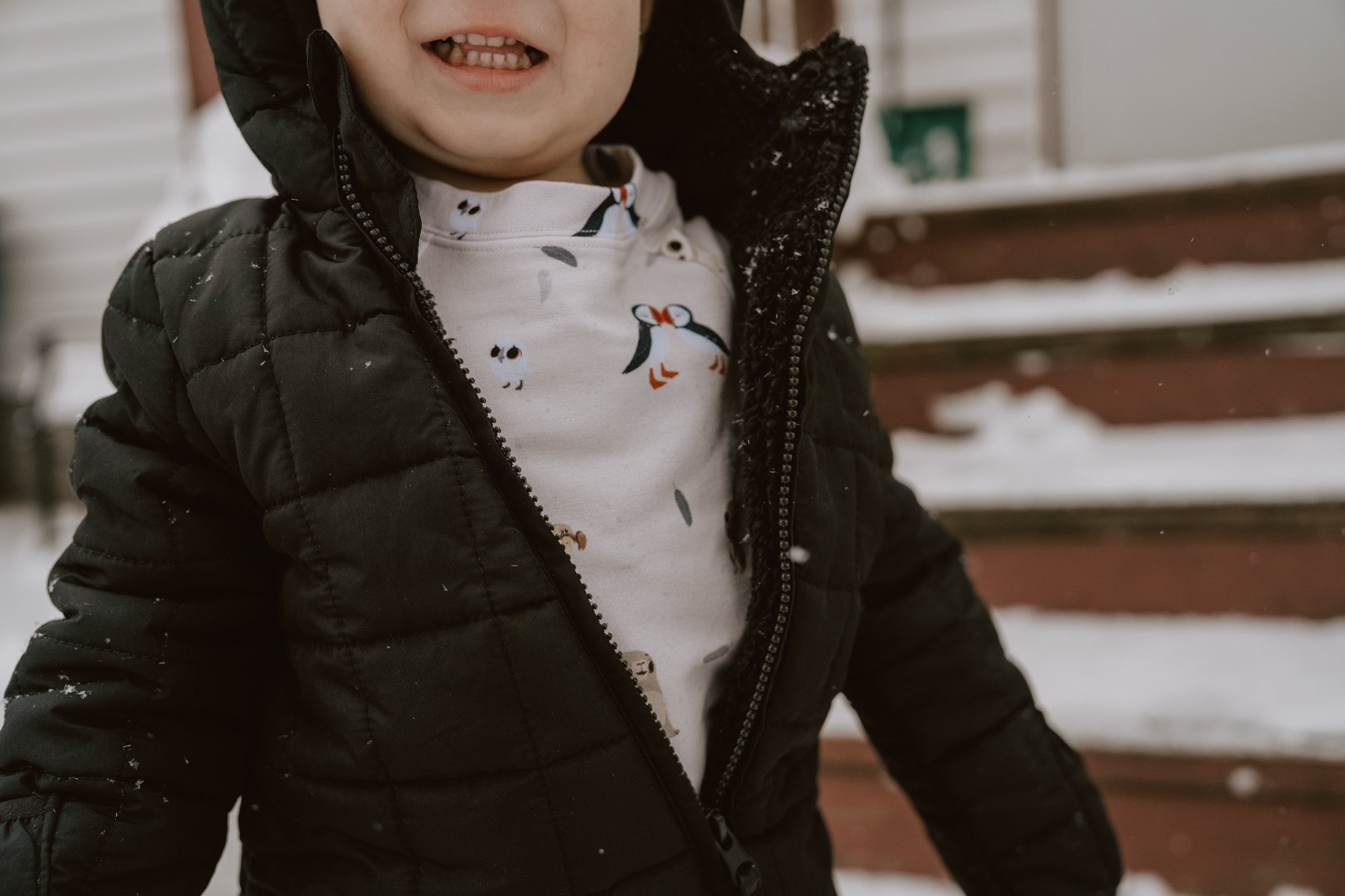 Puffin Rock™ Our Little Island - (Comfy Crew)