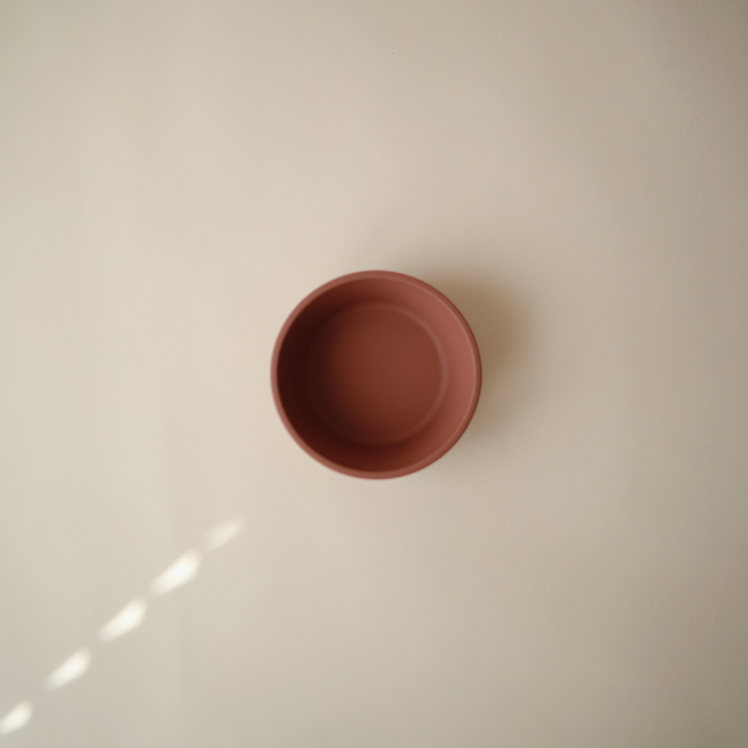 Silicone Suction Bowl {Drop Ship}