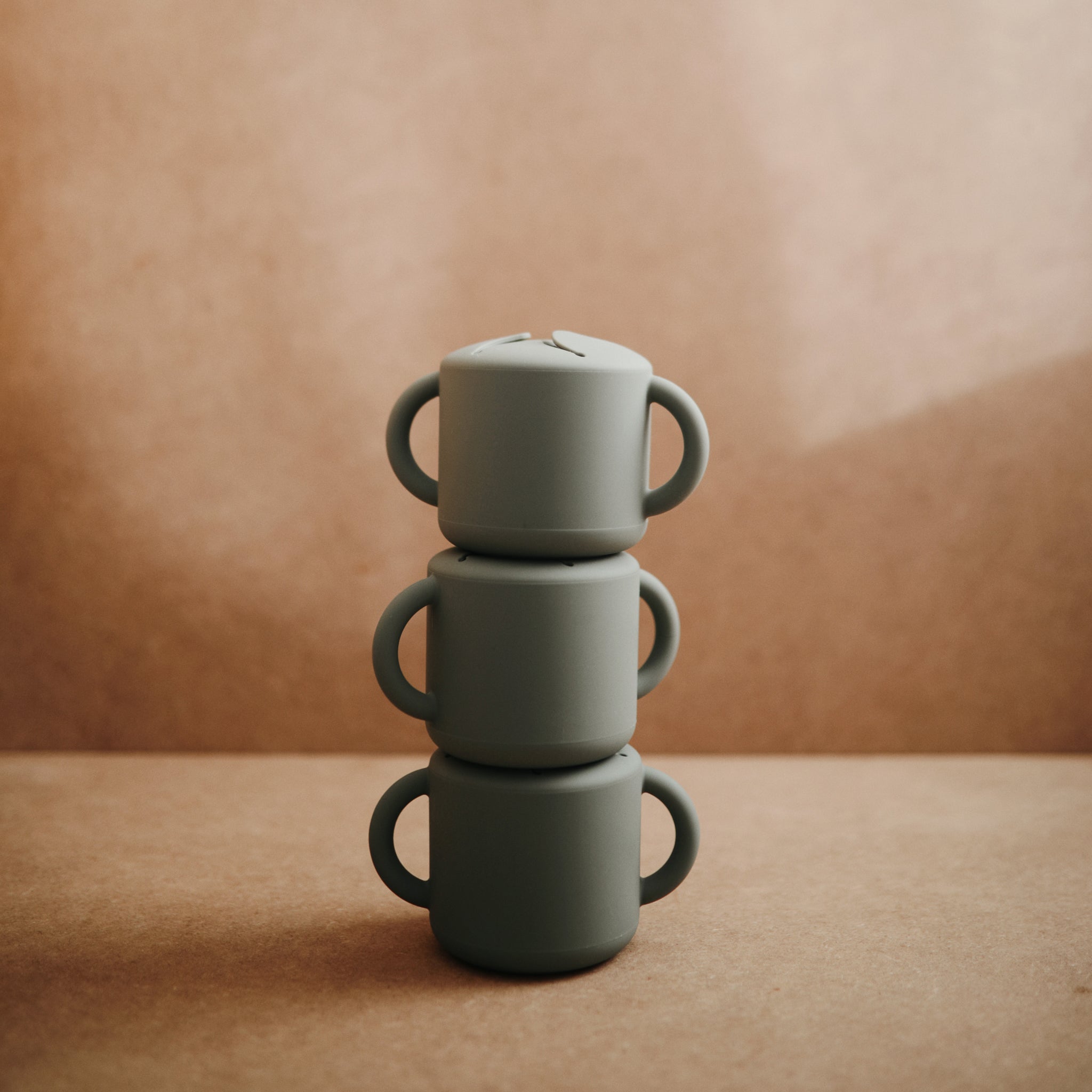 Snack Cup {Drop Ship}