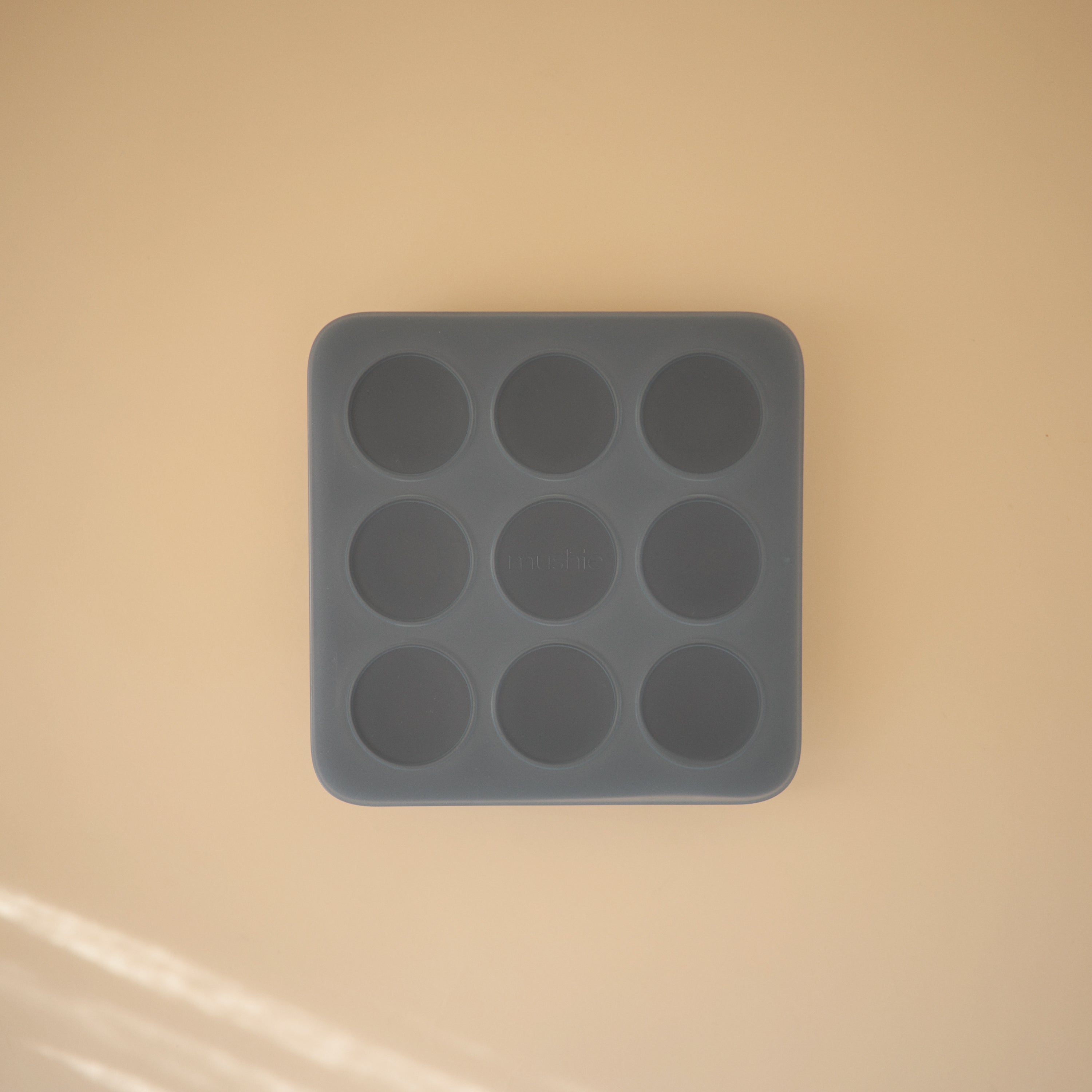 Baby Food Freezer Tray {Drop Ship}