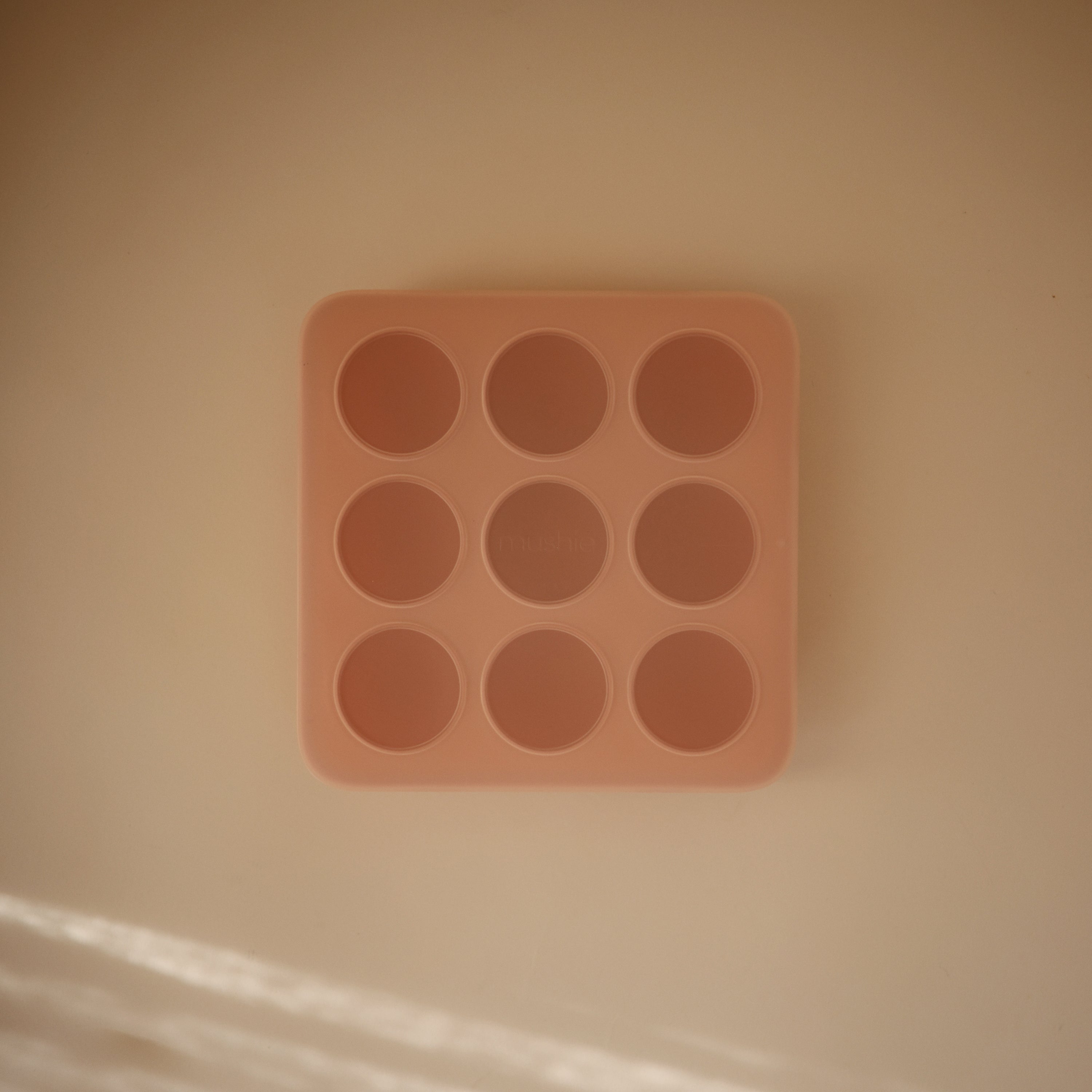 Baby Food Freezer Tray {Drop Ship}