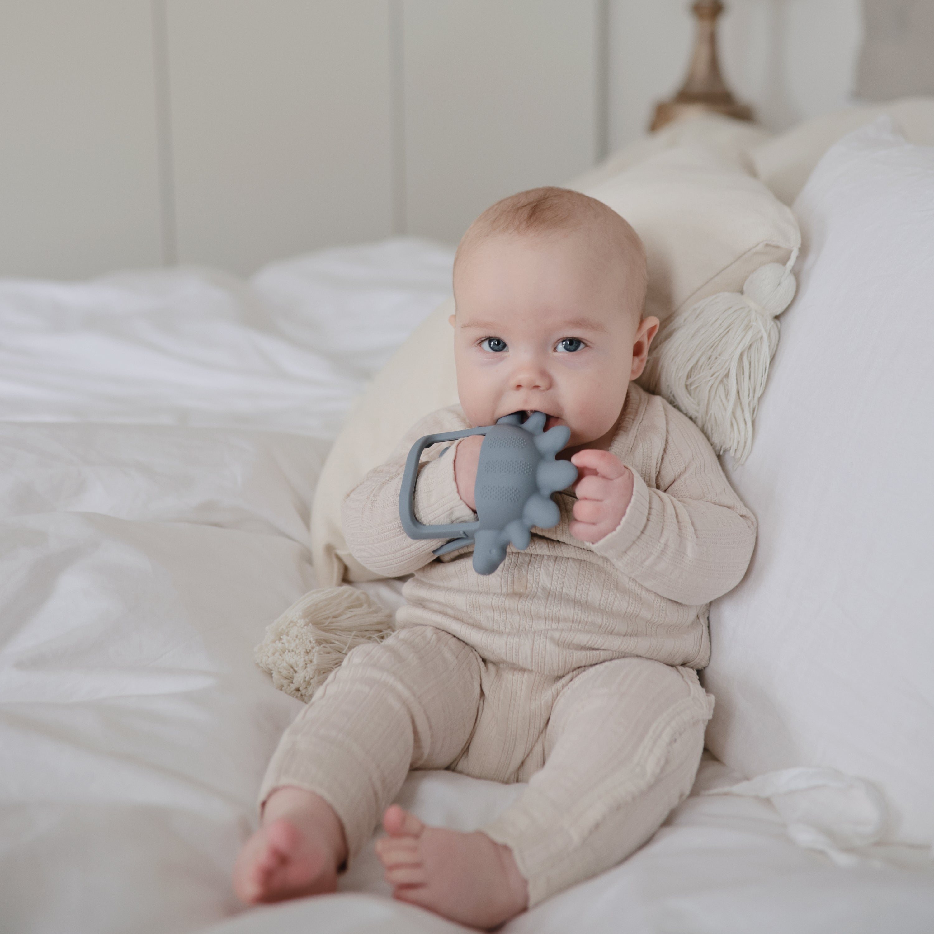 No-Drop Dino Teether (Tradewinds) {Drop Ship}
