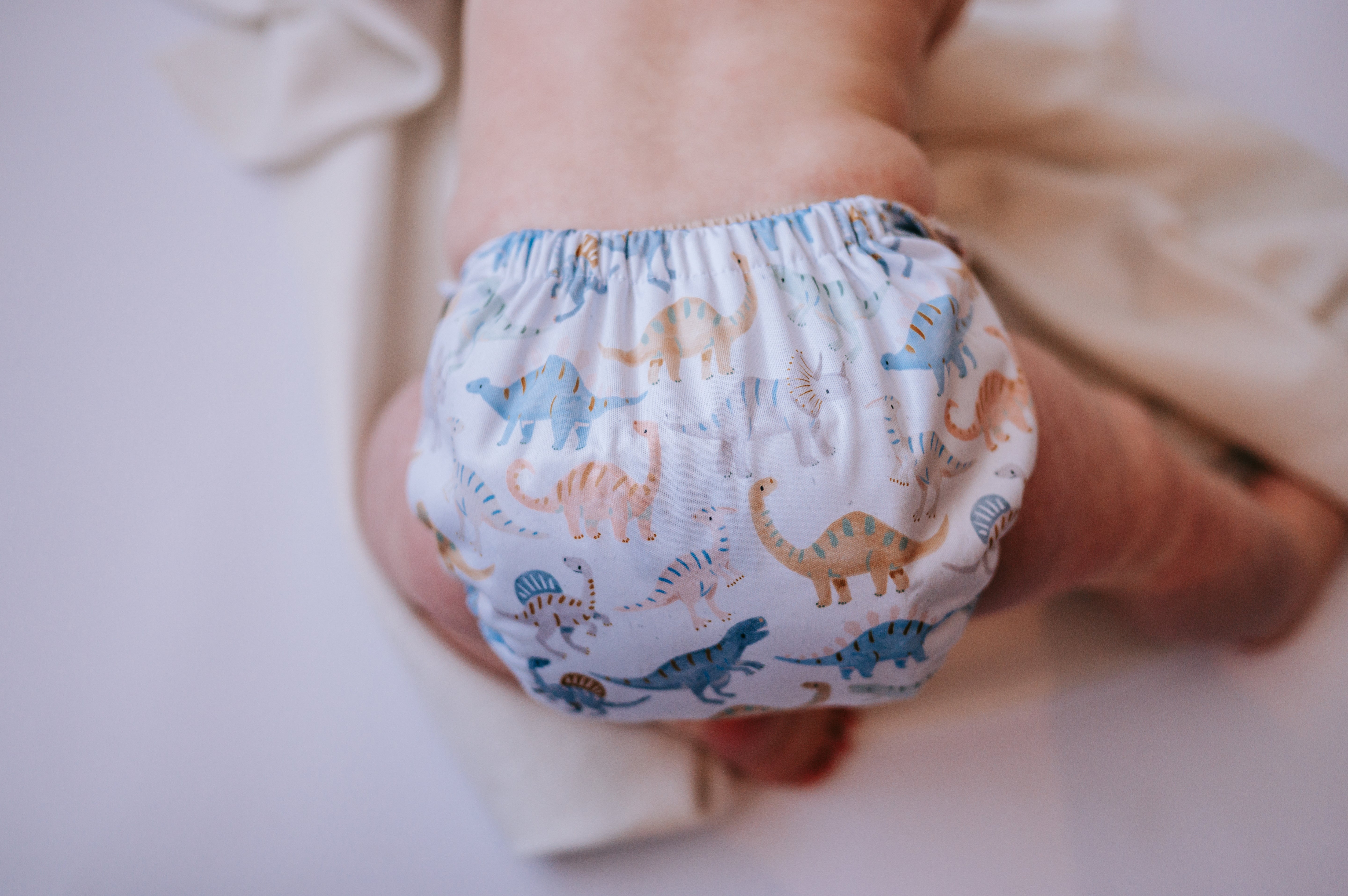 Roar - (POCKET DIAPER)