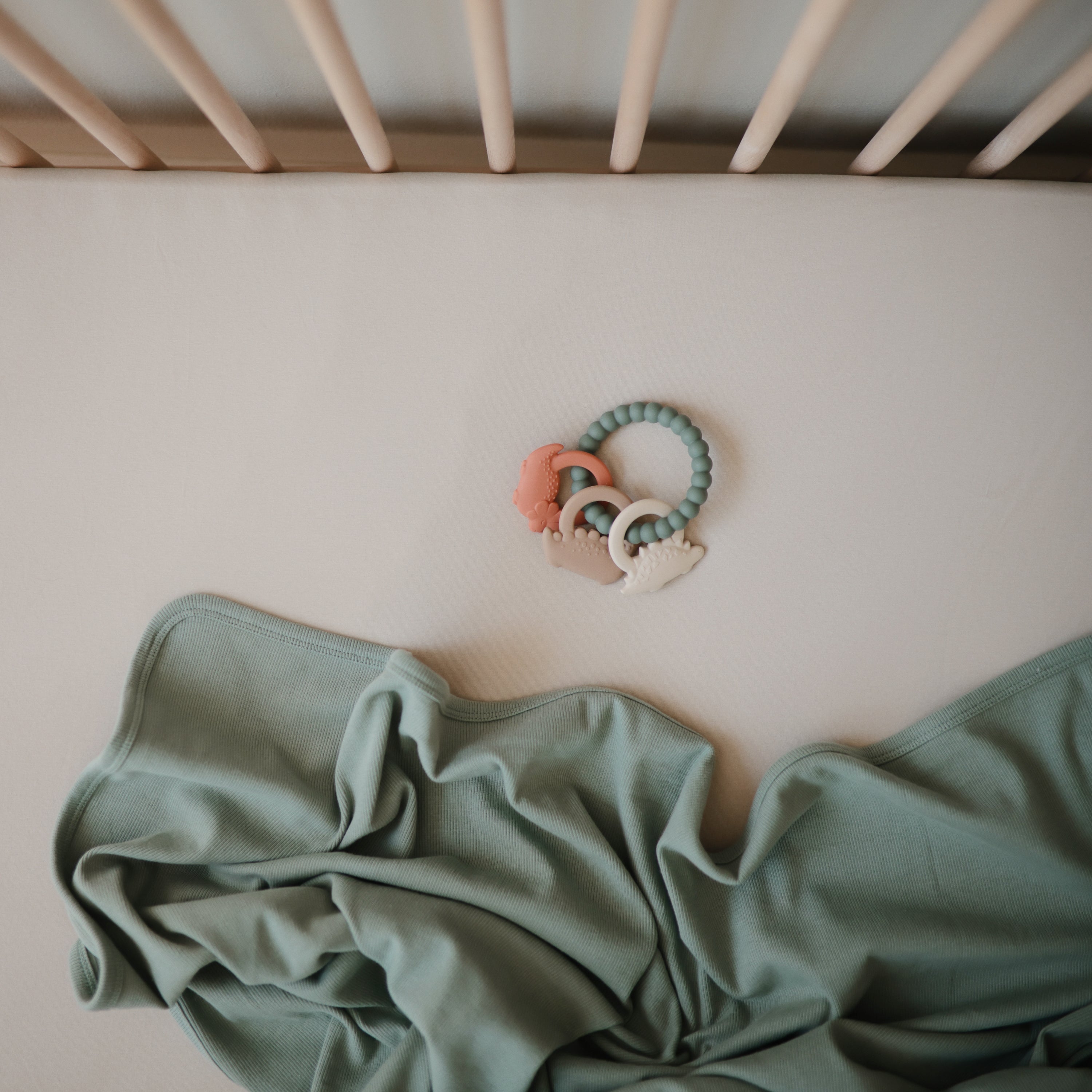 Dino Teething Ring {Drop Ship}
