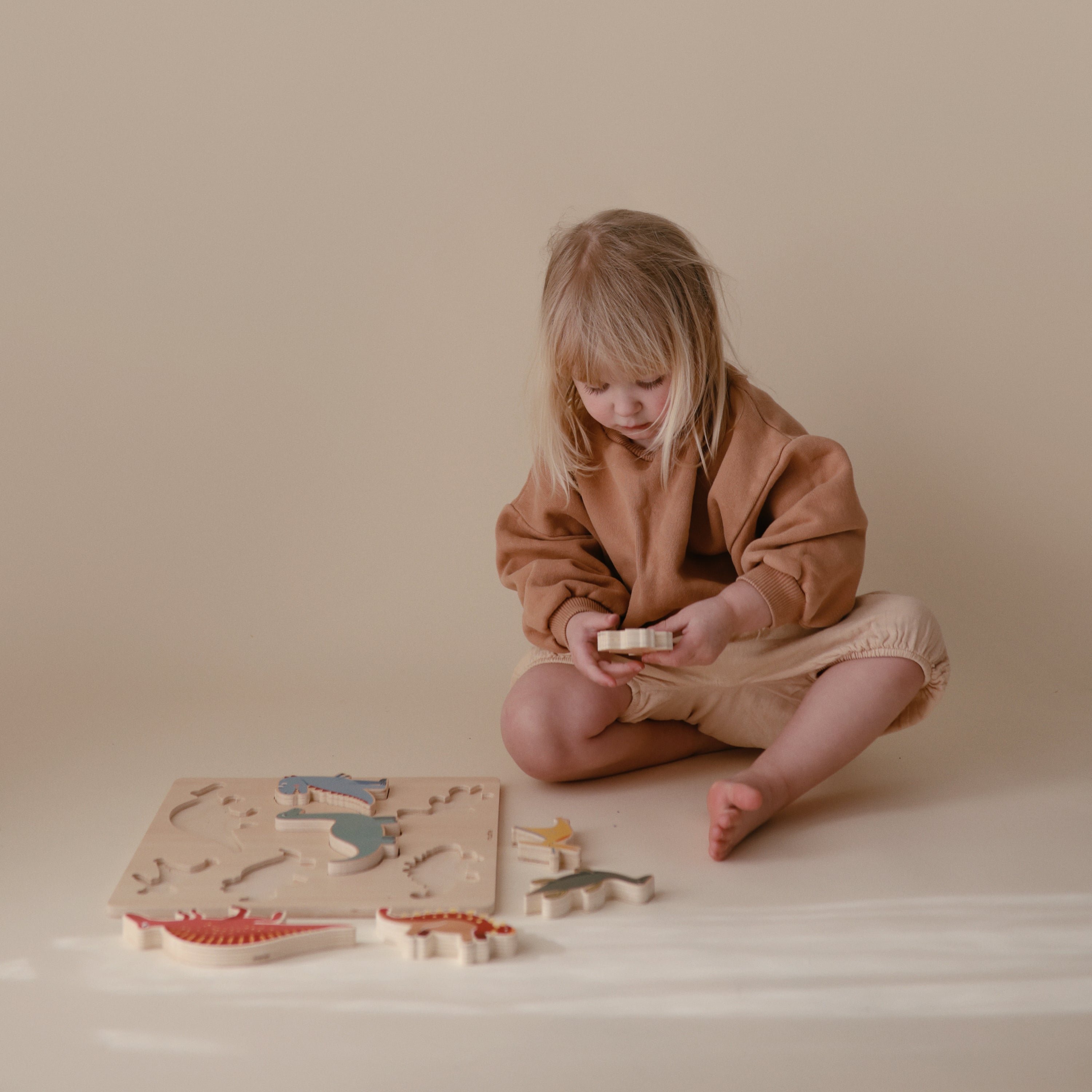 Wooden Dino Puzzle {Drop Ship}