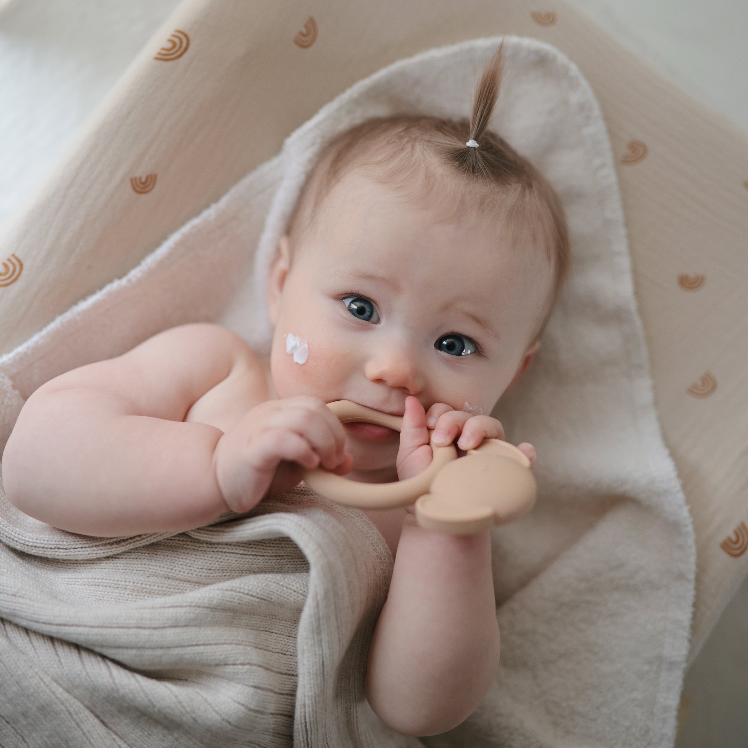 Dog Teether {Drop Ship}