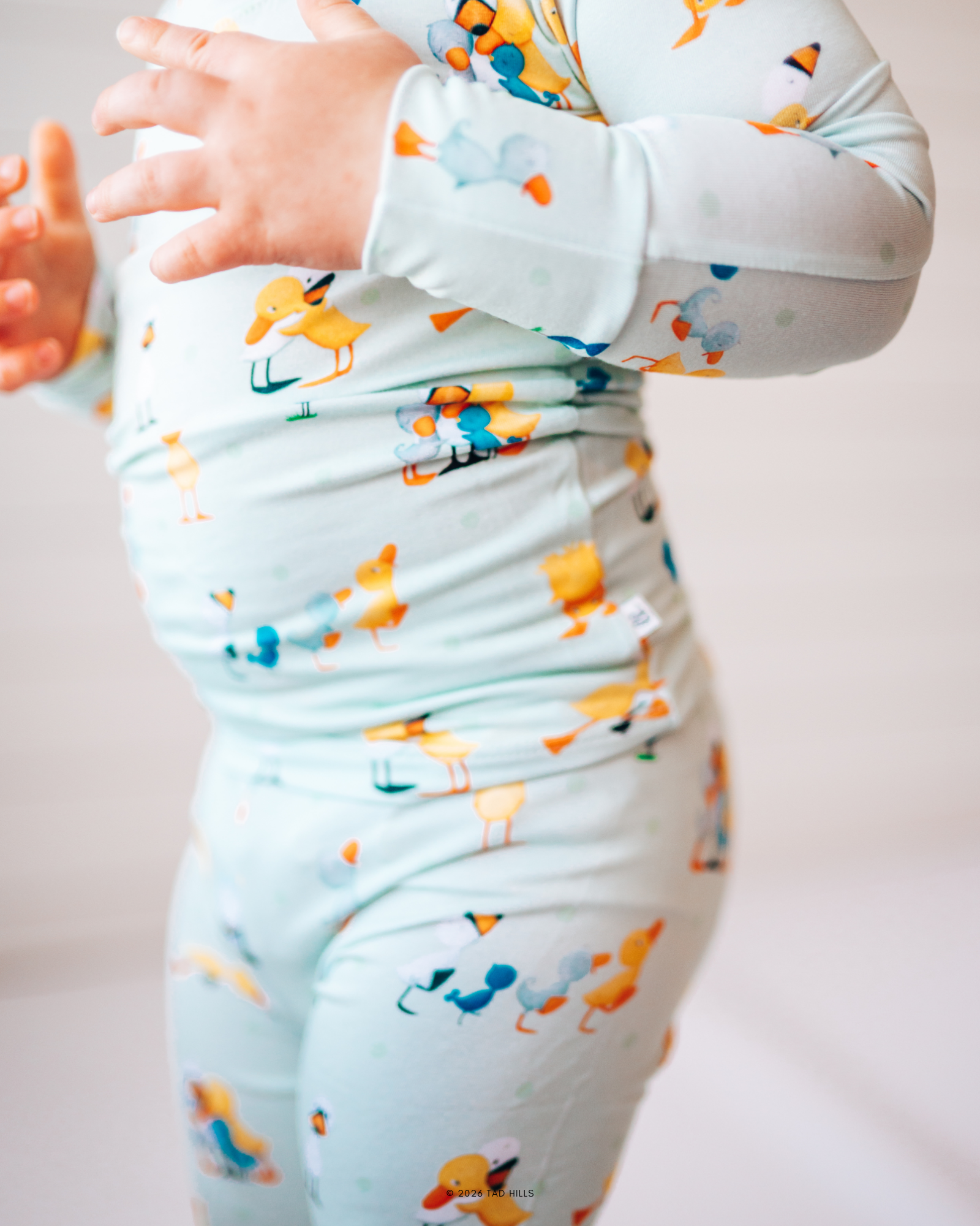 Duck & Goose - Friendship - (Snug Set Stretch)