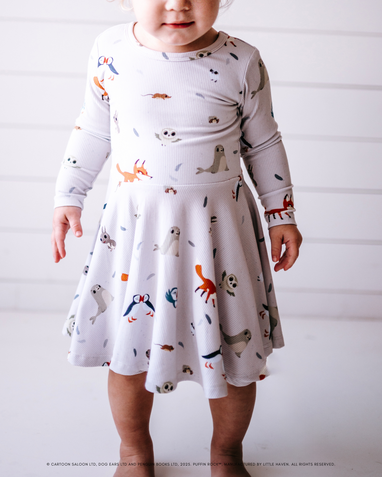 Puffin Rock™ Our Little Island (Long Sleeve Twirl Dress)