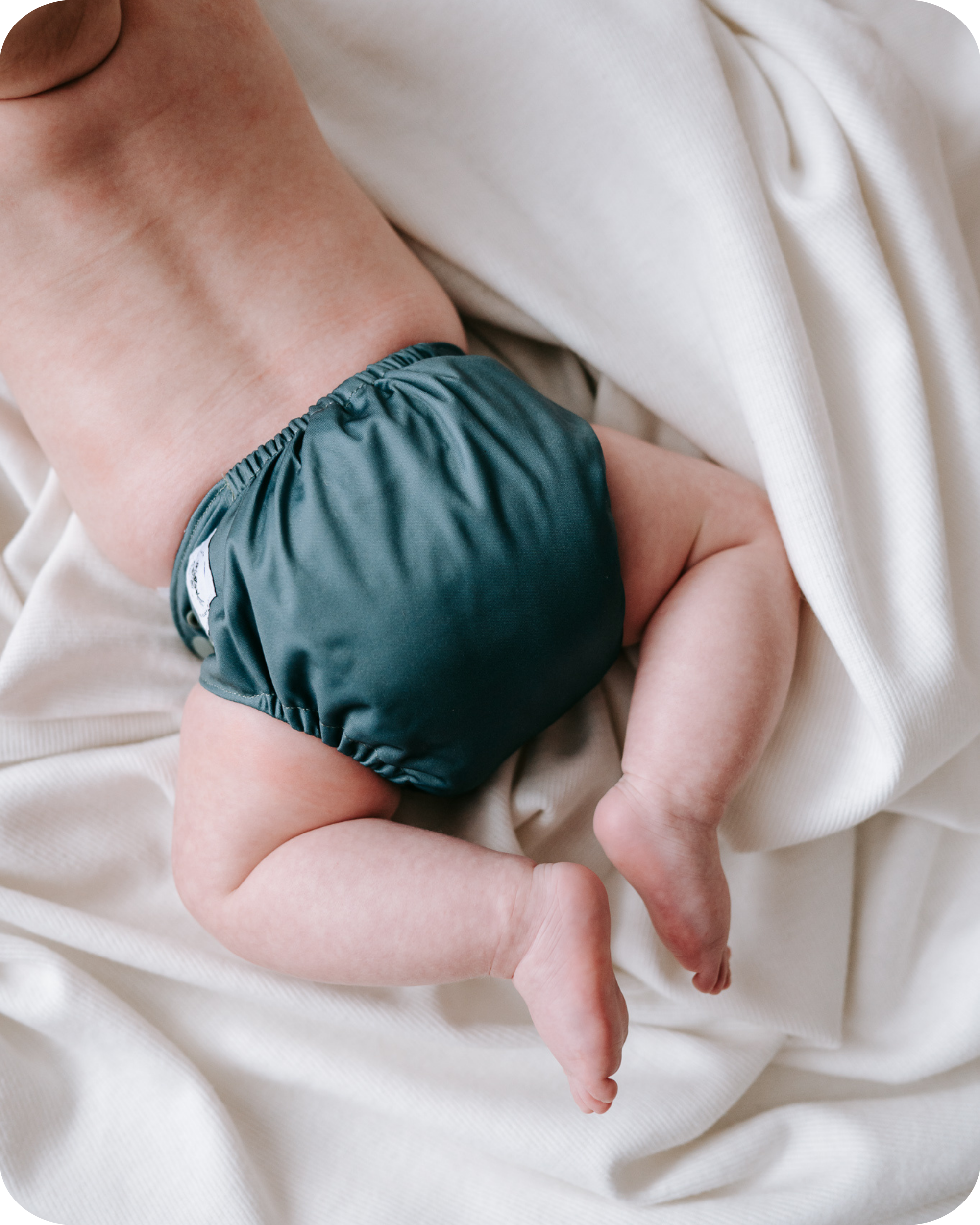 Sprig - (AIO NEWBORN POCKET DIAPER)