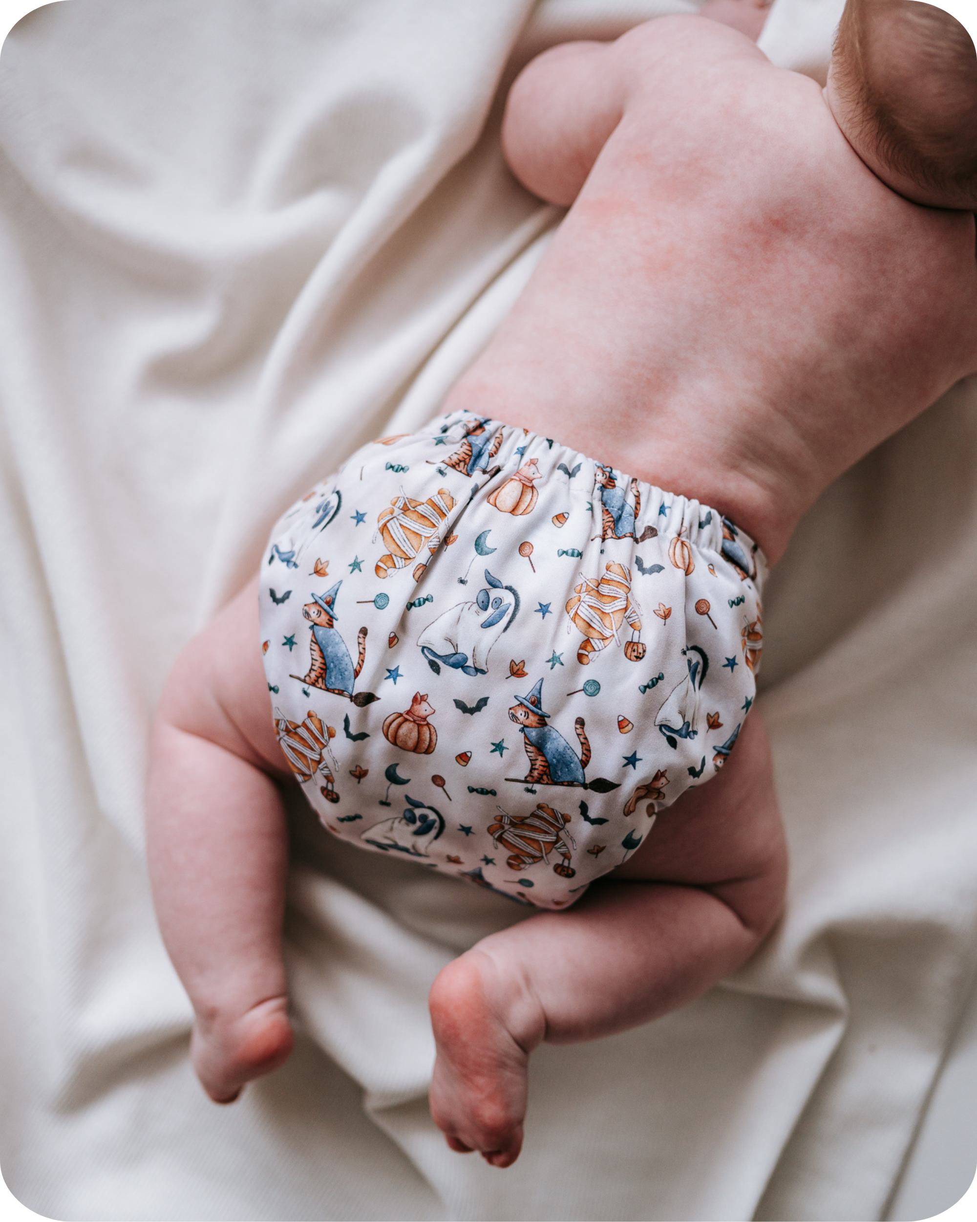 100 Acre Haunts - (POCKET DIAPER)