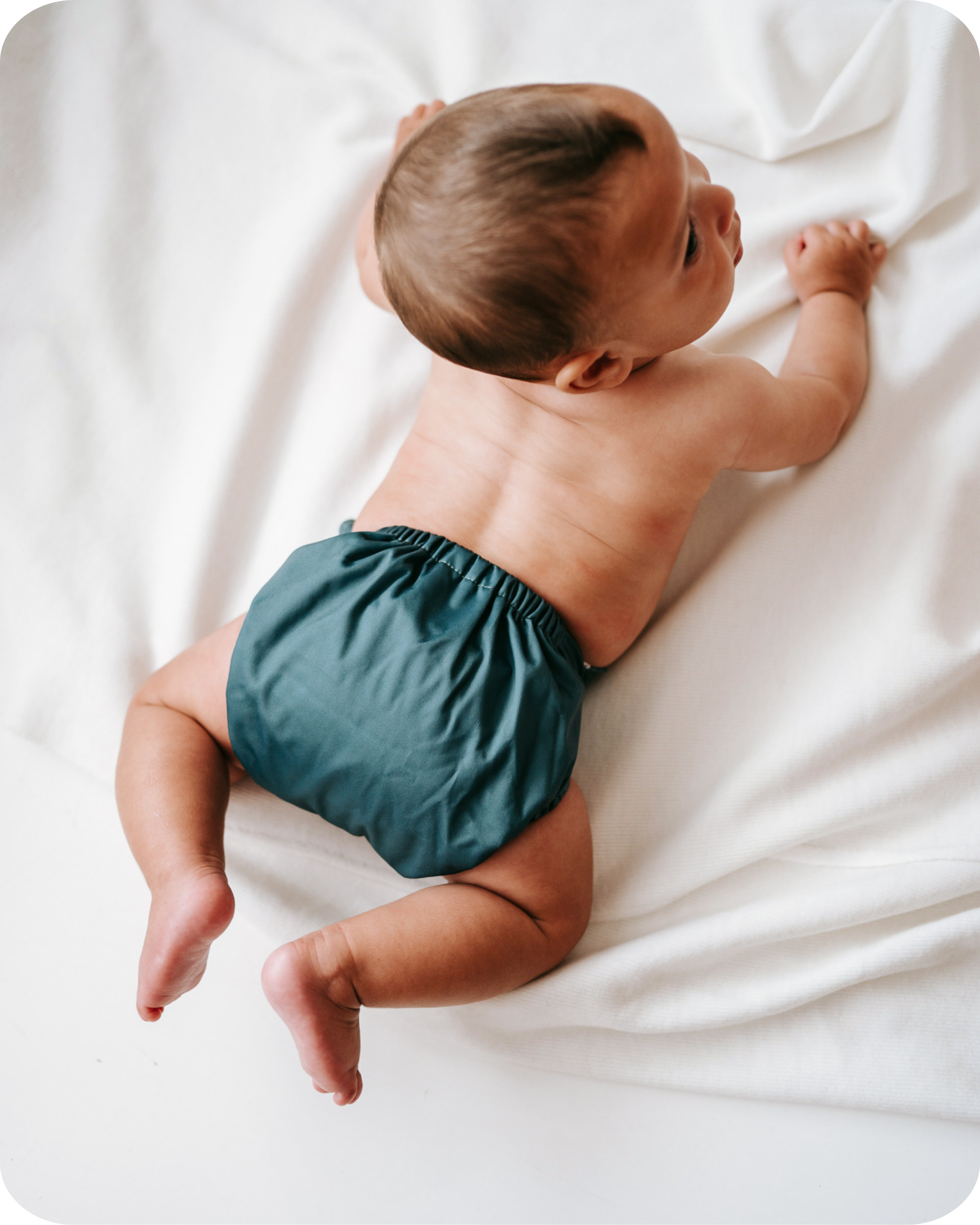 Sprig - (POCKET DIAPER)