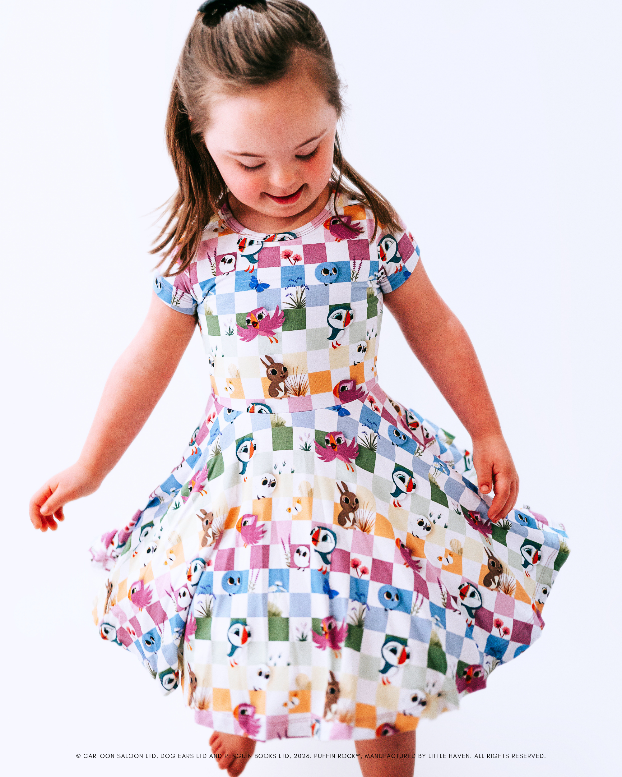 Officially Licensed Short Sleeve Skater Dresses