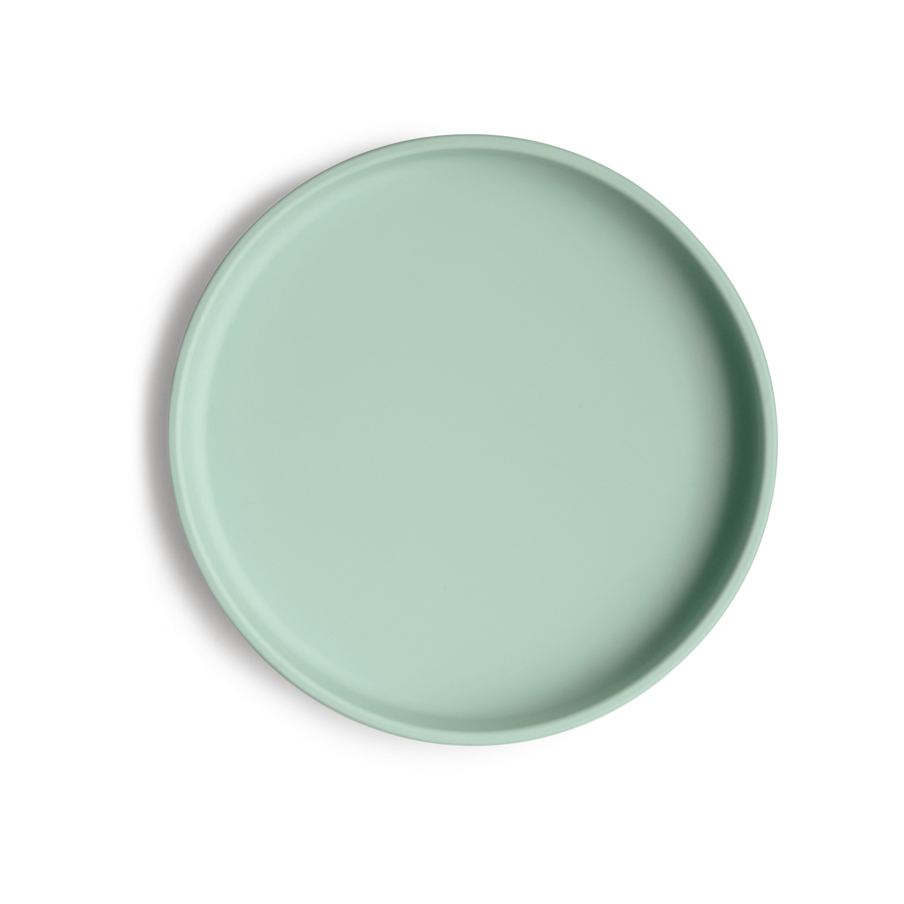 Classic Silicone Suction Plate {Drop Ship}