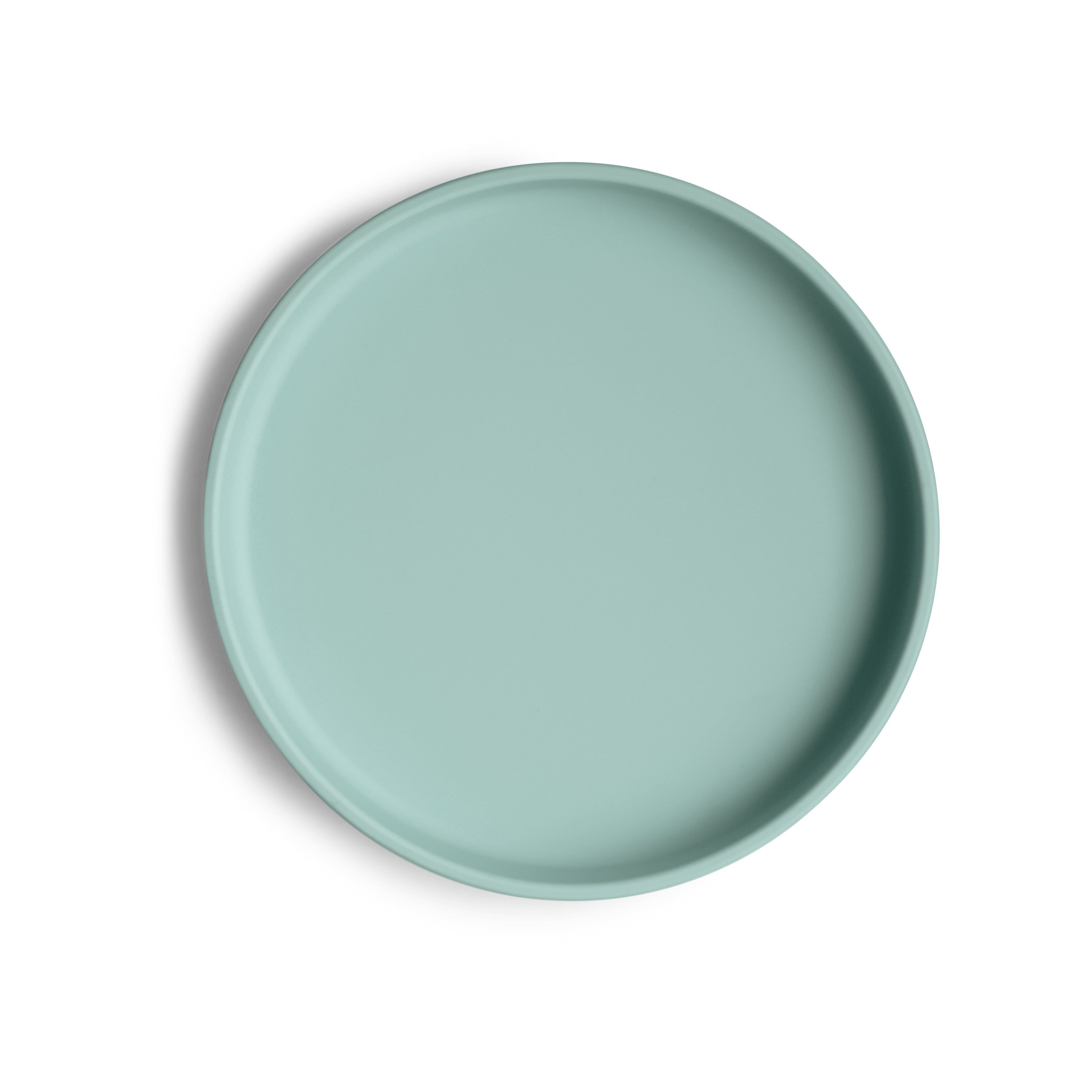 Classic Silicone Suction Plate {Drop Ship}
