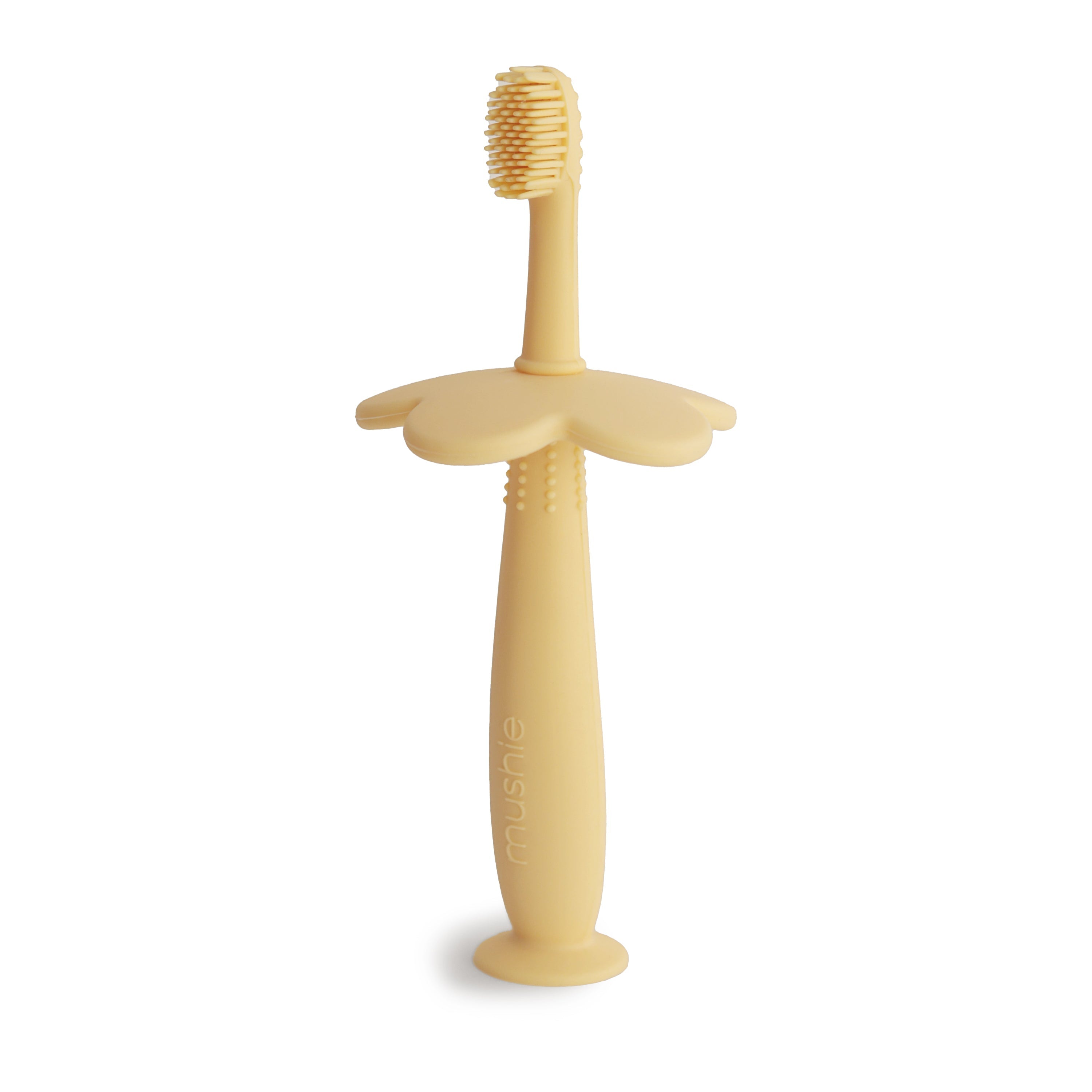 Flower Training Toothbrush {Drop Ship}fe