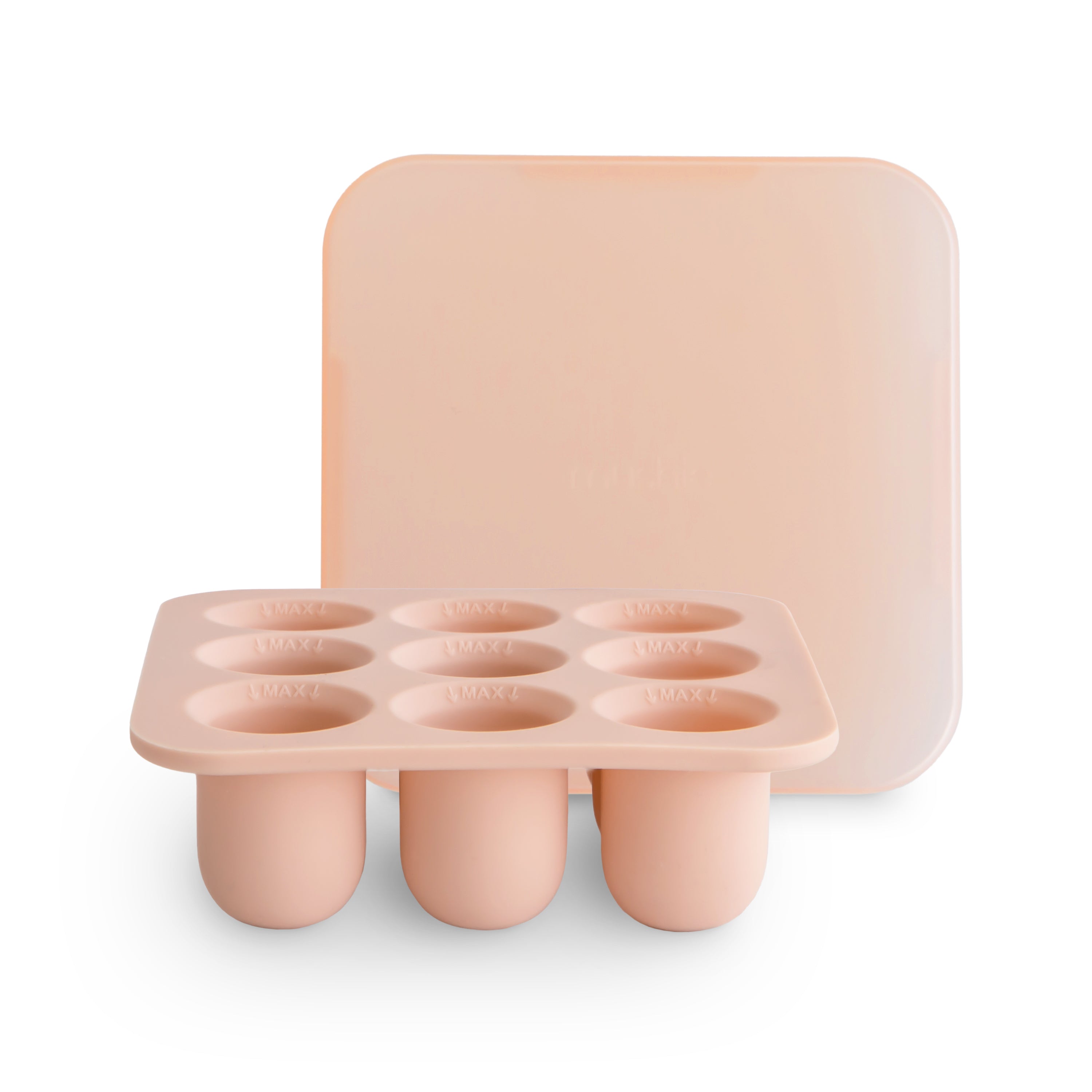 Fresh Food Feeder Freezer Tray {Drop Ship}