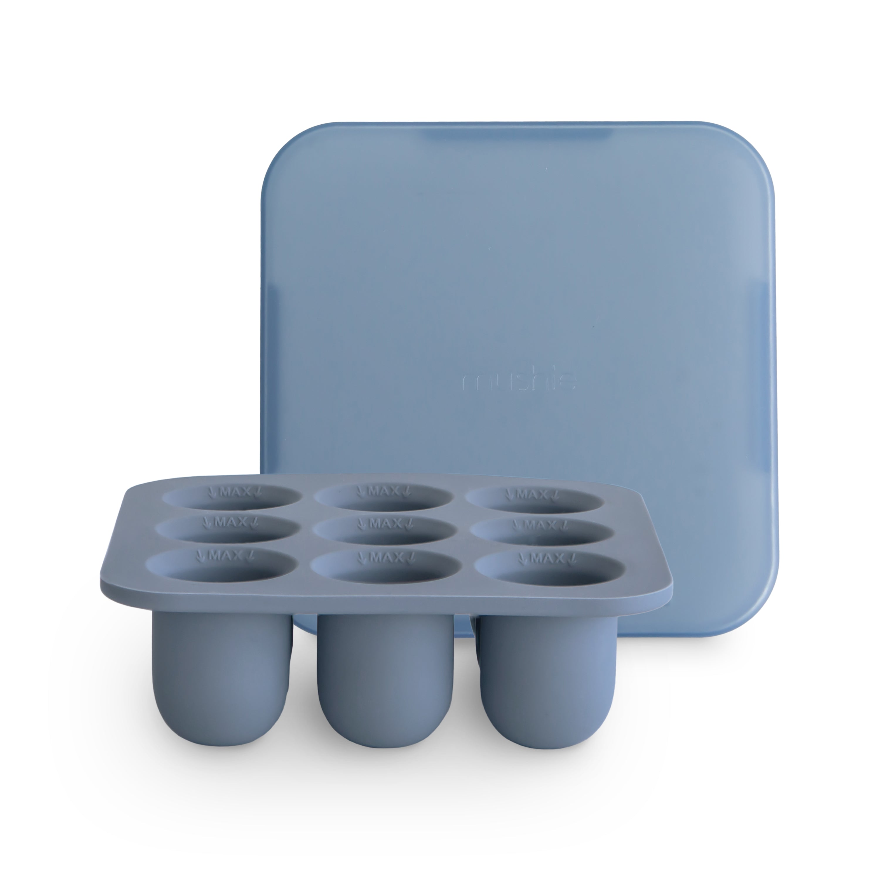 Fresh Food Feeder Freezer Tray {Drop Ship}