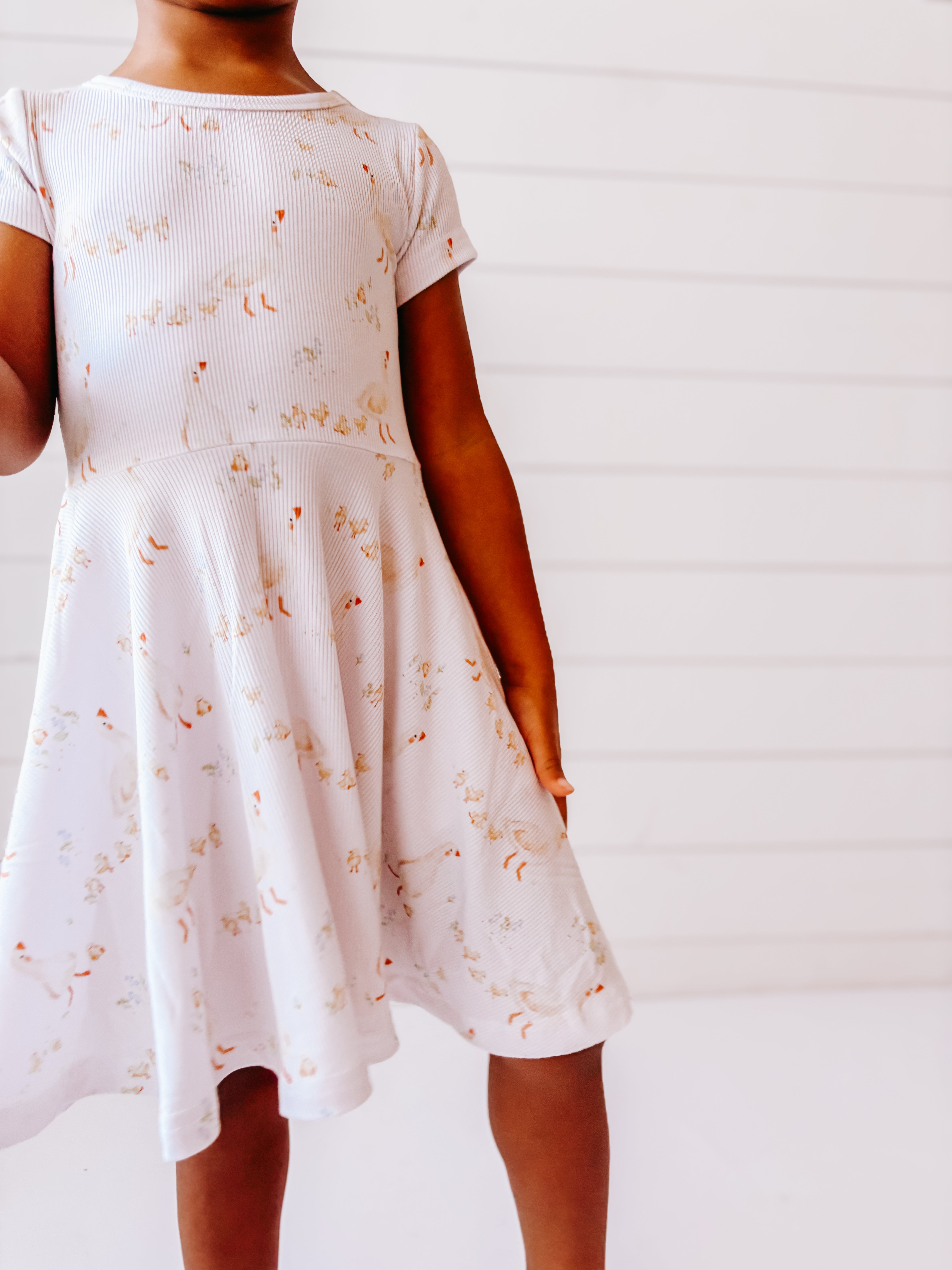 Mother Goose (Short Sleeve Skater Dress)