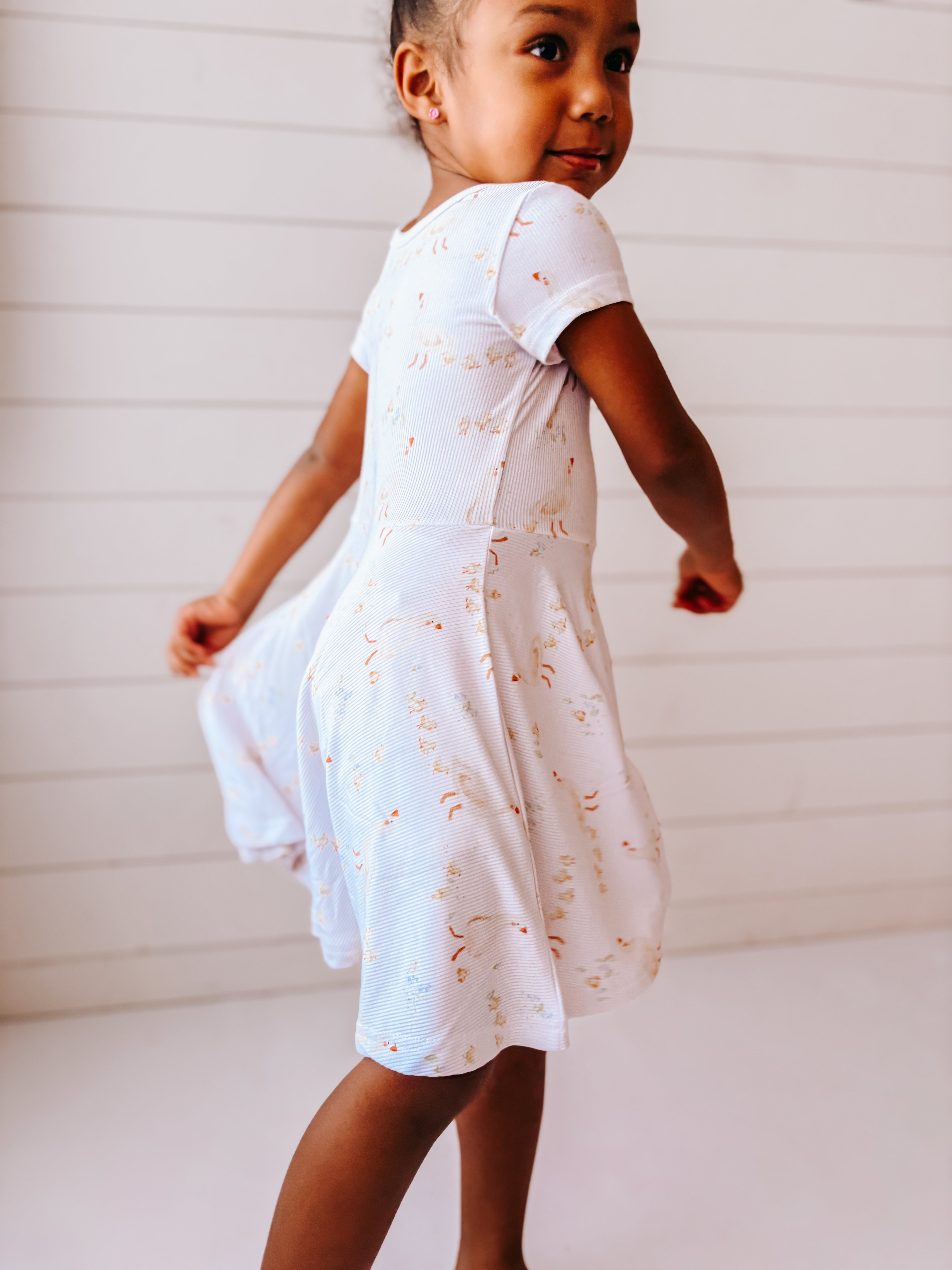 Mother Goose (Short Sleeve Skater Dress)