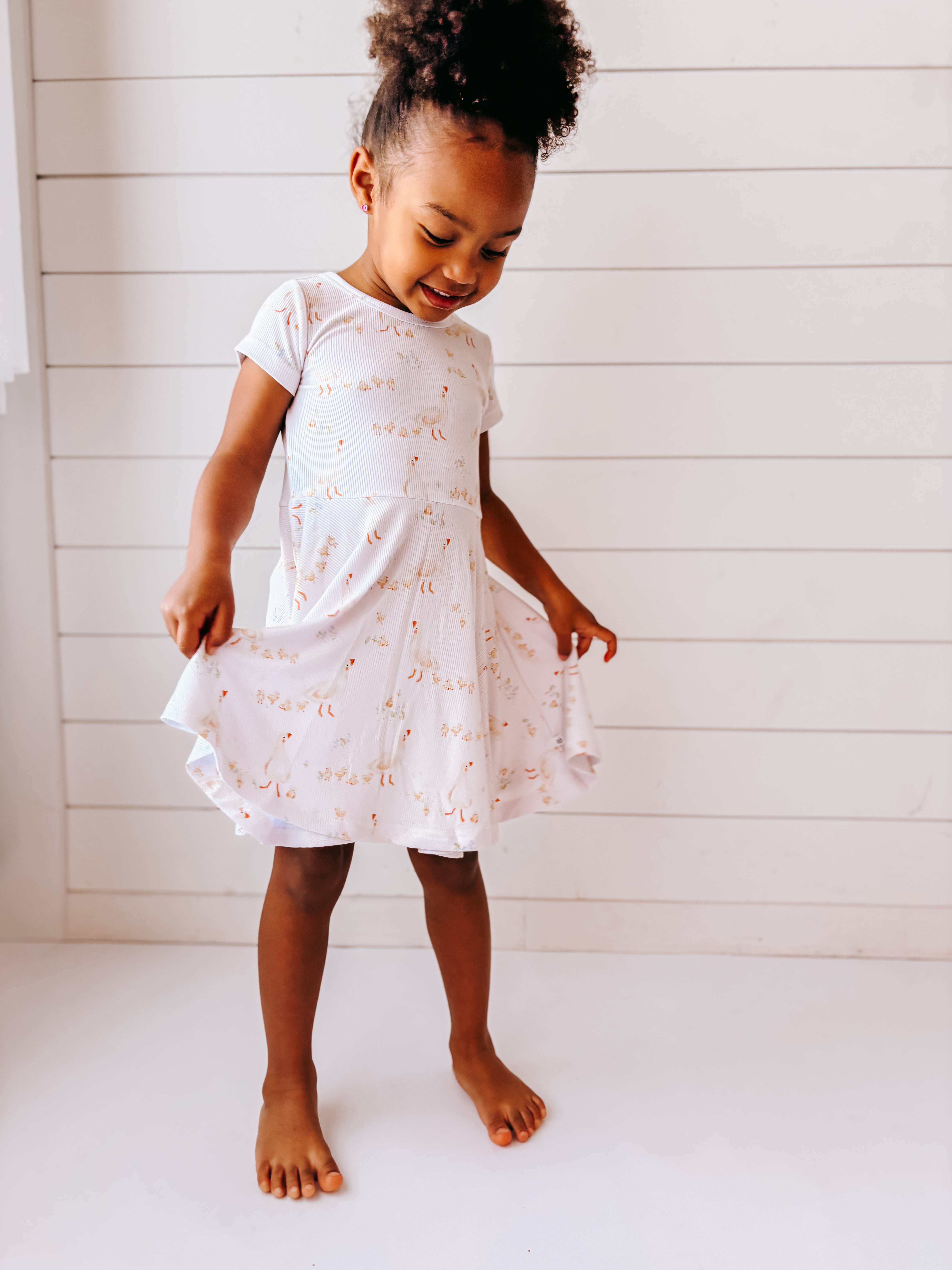 Mother Goose (Short Sleeve Skater Dress)