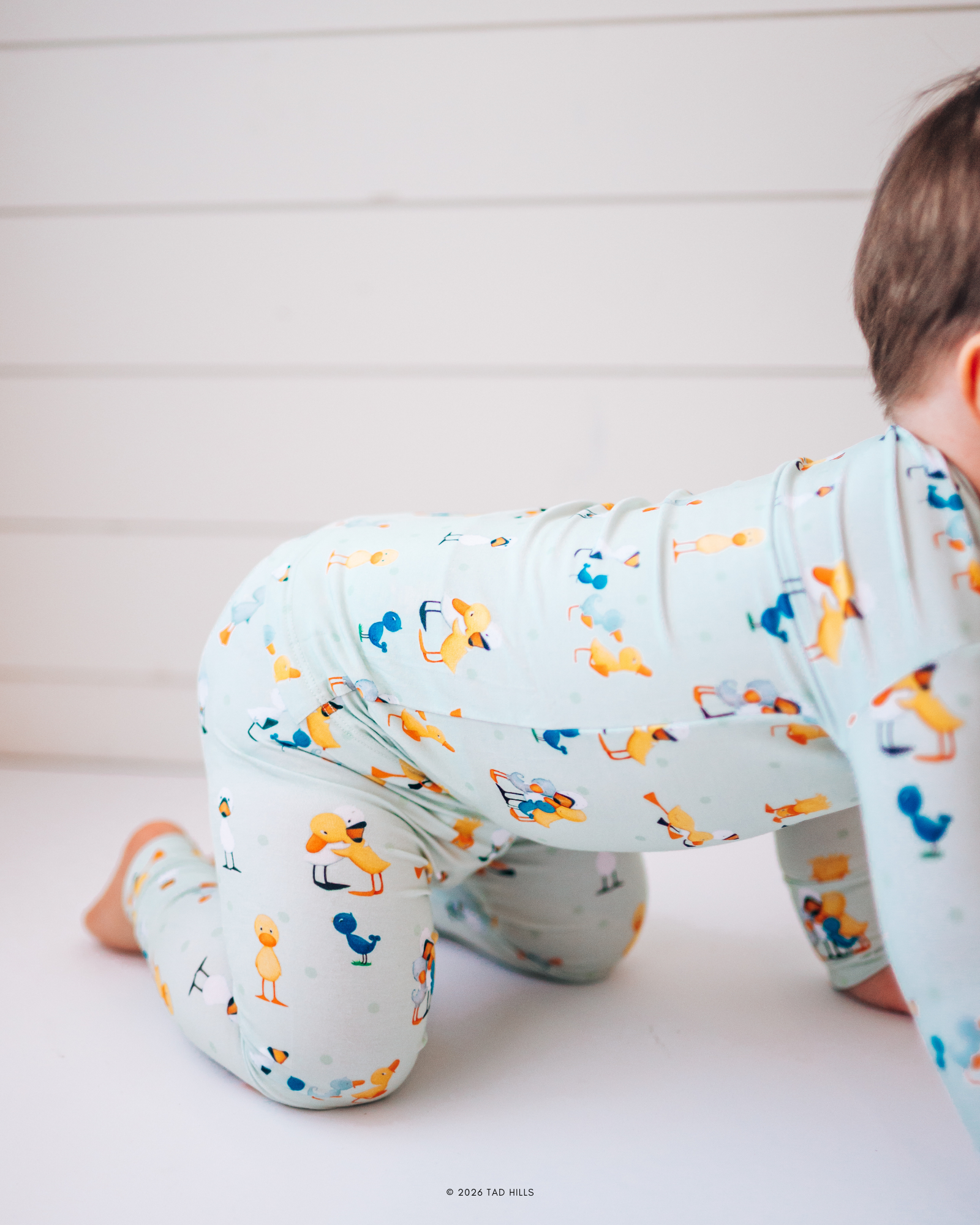 Duck & Goose - Friendship - (Snug Set Stretch)