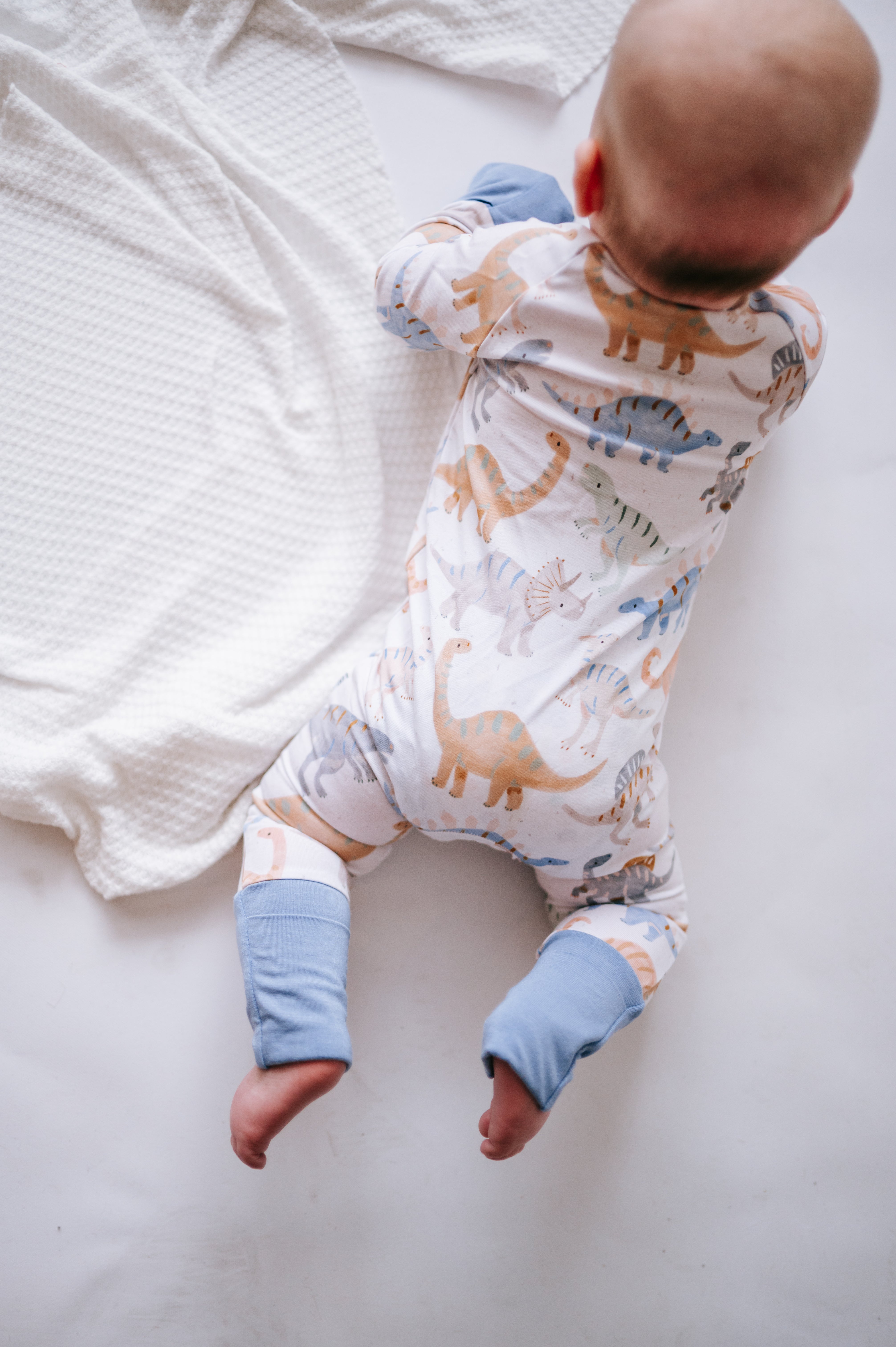 Roar - (Snug Zip Stretch)