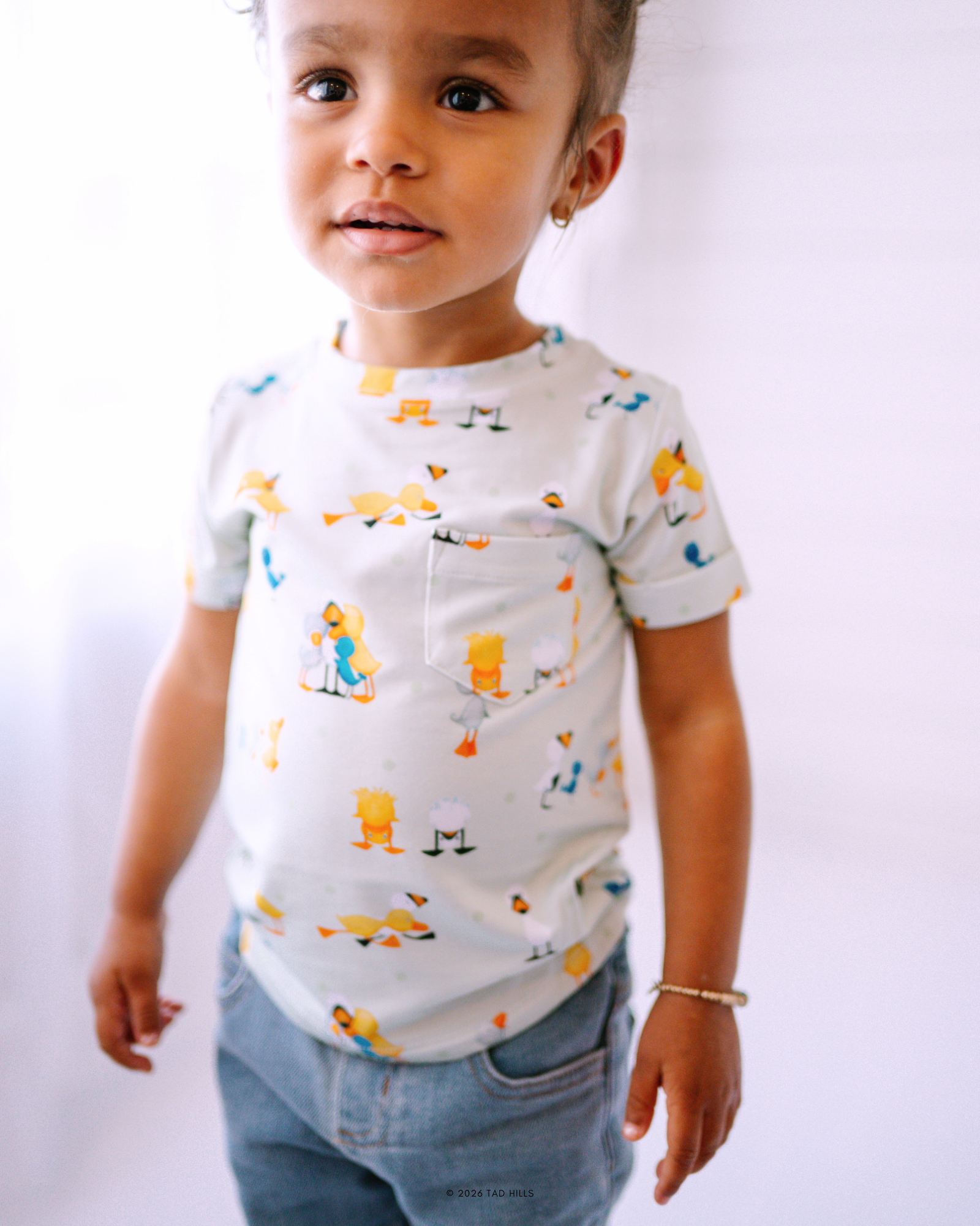 Duck & Goose - Friendship - (Essential Tee)