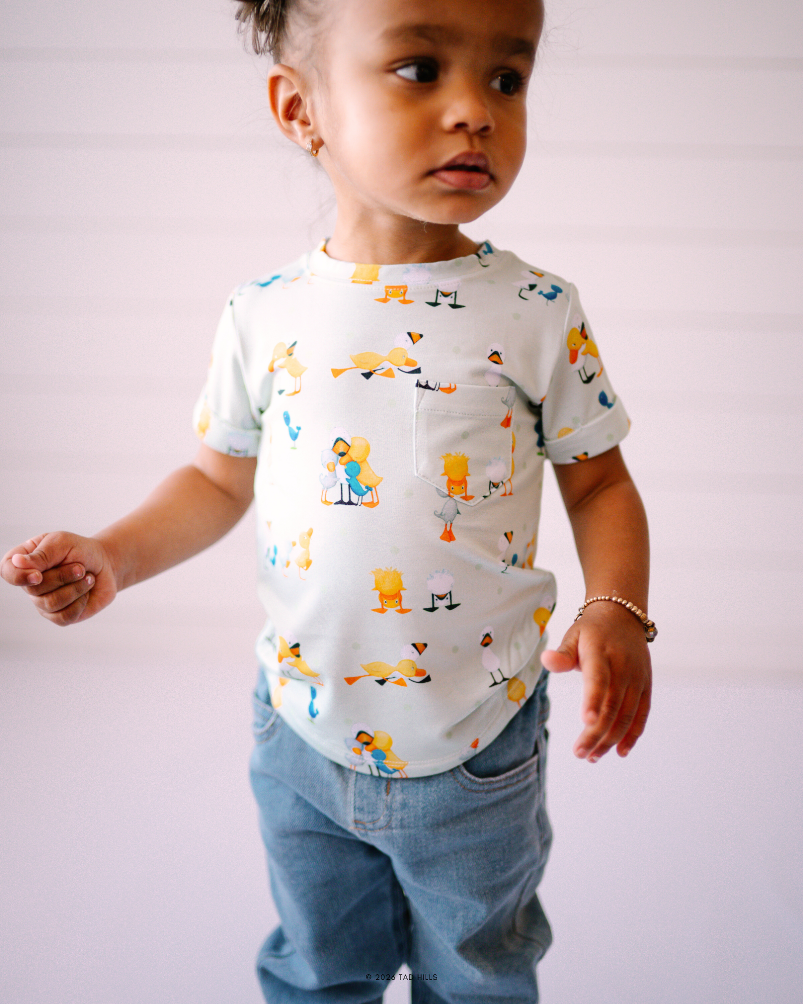 Duck & Goose - Friendship - (Essential Tee)