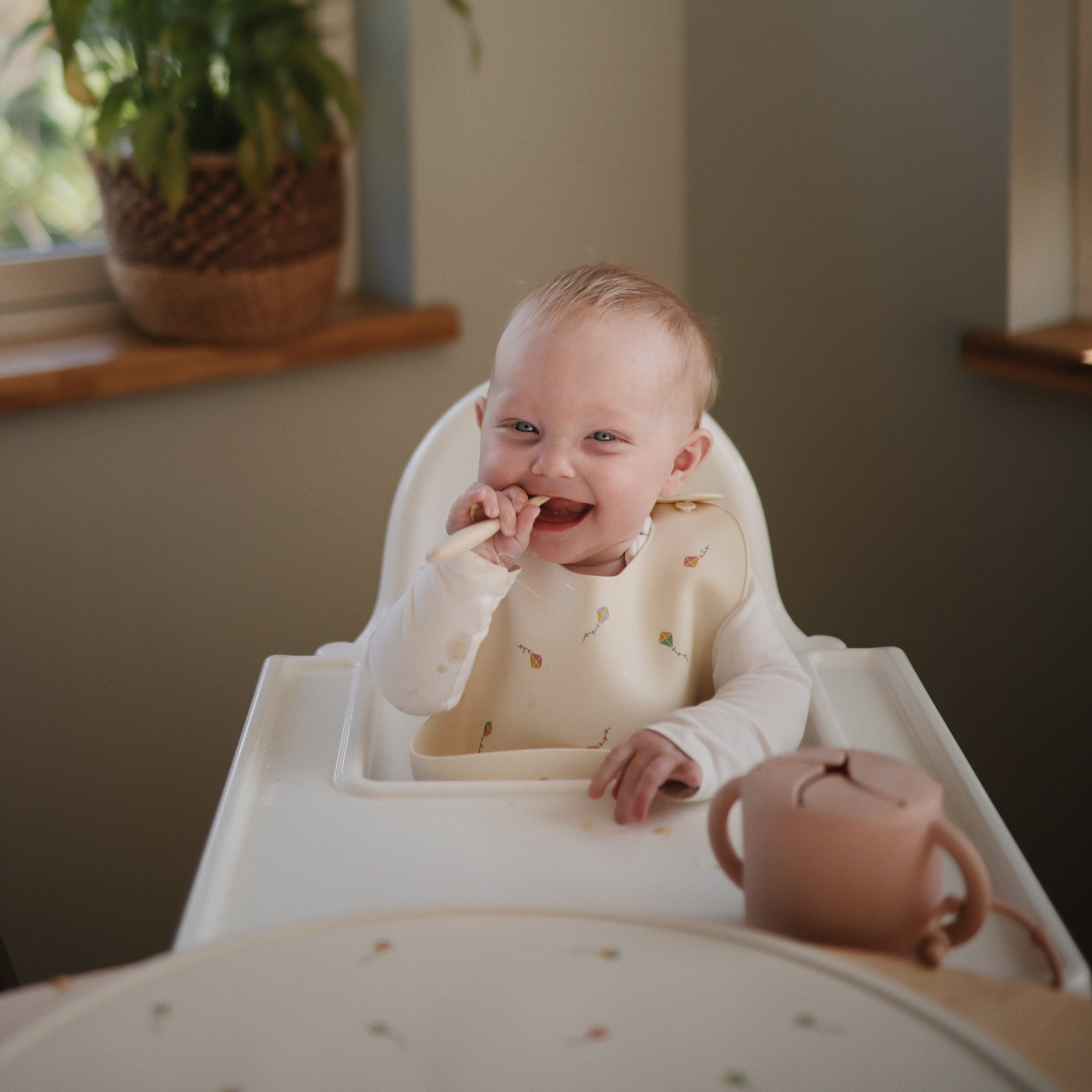 Silicone Baby Bib {Drop Ship}